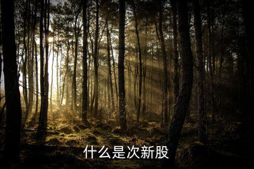 什么叫次新股，什么是次新股