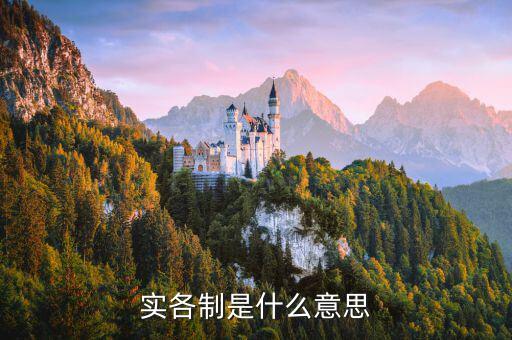 什么是實(shí)貨制，實(shí)體制是什么意思