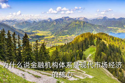 為什么金融是現(xiàn)代經(jīng)濟(jì)的核心，你是如何理解金融是現(xiàn)代經(jīng)濟(jì)的核心這個(gè)論斷的