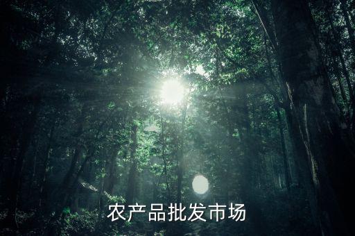 什么是公益性農(nóng)產(chǎn)品批發(fā)市場(chǎng)，談?wù)勅绾渭訌?qiáng)和完善公益性農(nóng)貿(mào)市場(chǎng)建設(shè)