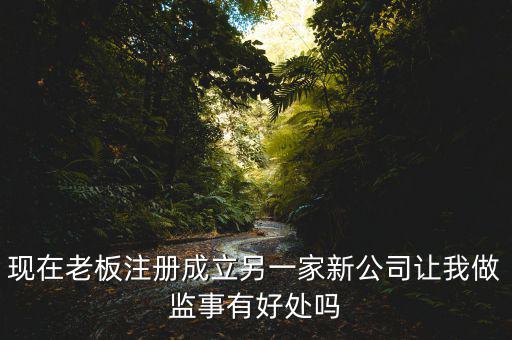 上市公司做監(jiān)事有什么好處，現(xiàn)在老板注冊成立另一家新公司讓我做監(jiān)事有好處嗎