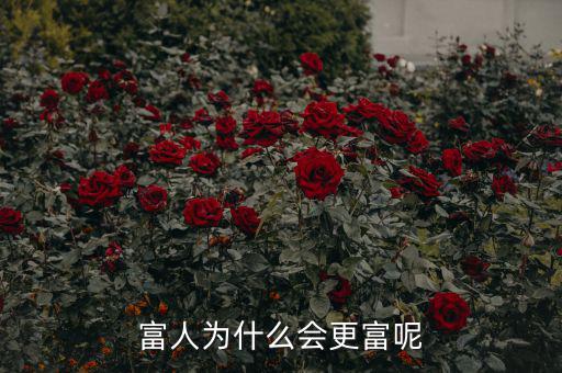 富人為什么越來越富，為什么富人越來越富