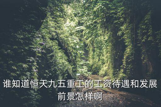 恒天九五什么時候上市，誰知道恒天九五重工的工資待遇和發(fā)展前景怎樣啊