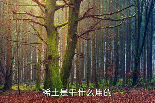 為什么稀土，日本為什么要進口稀土 稀土是什么