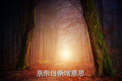 京東白條是什么，京東白條啥意思