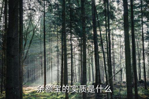 余額寶的本質(zhì)是什么，余額寶的本質(zhì)是什么他是怎么盈利的