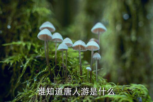 唐人數(shù)碼是干什么的，唐人游是什么