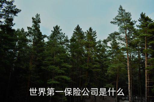 世界上第一家保險公司叫什么，世界第一保險公司是什么