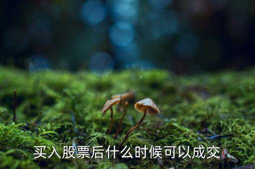 股票什么時(shí)候能交易，每天什么時(shí)候可以買入股票什么時(shí)候可以賣出股票