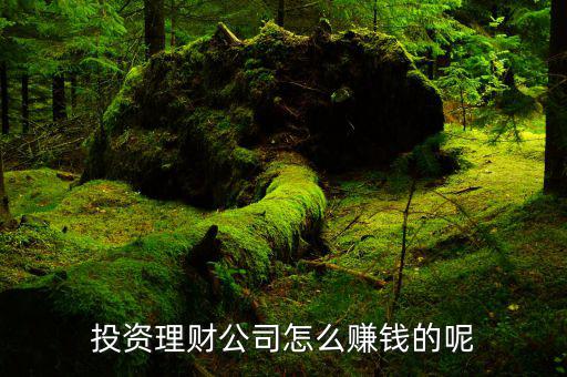 財(cái)牛投資靠什么賺錢，投資理財(cái)公司靠什么賺錢