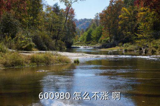 大地傳媒為什么不漲，大地傳媒能借利好走出大行情嗎