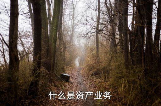 什么是大資產(chǎn)業(yè)務(wù)，商業(yè)銀行三大支柱業(yè)務(wù)是什么