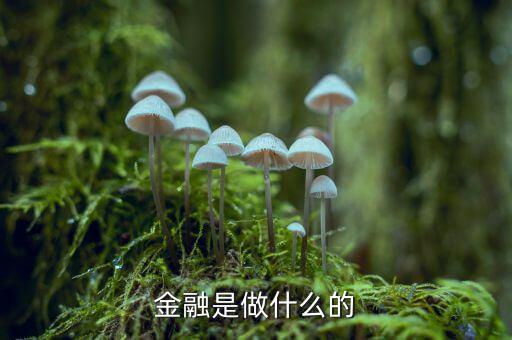中國29金融是干什么的，金融是干什么的