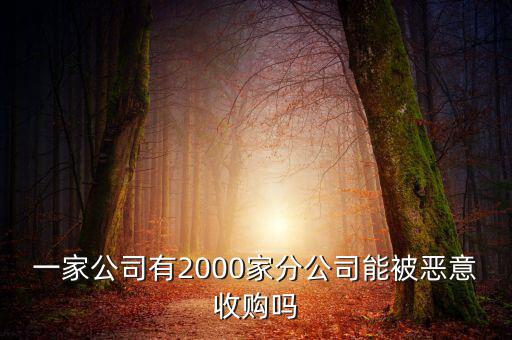 初靈信息為什么要并購(gòu)，一家公司有2000家分公司能被惡意收購(gòu)嗎