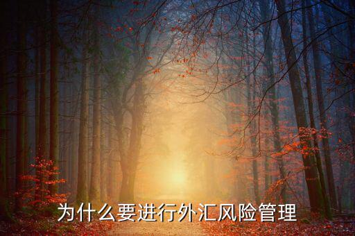 中國為什么實(shí)行外匯管制，為什么要加入國家外匯管理局工作