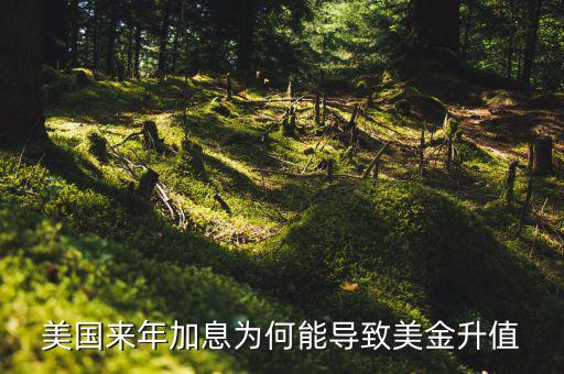 美聯(lián)儲(chǔ)加息為什么會(huì)使美元升值，美國來年加息為何能導(dǎo)致美金升值