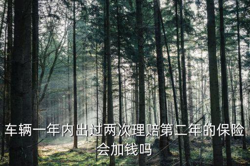 一年中兩次事故理培有什么影響，車輛一年內(nèi)出過兩次理賠第二年的保險會加錢嗎