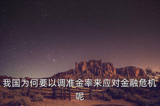 我國為何要以調(diào)準(zhǔn)金率來應(yīng)對(duì)金融危機(jī)呢
