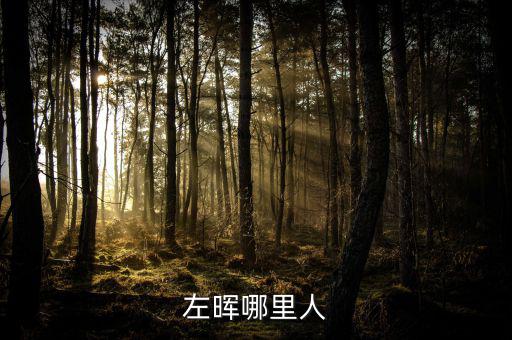 左暉靠什么起家，左暉與左東華什么關(guān)系