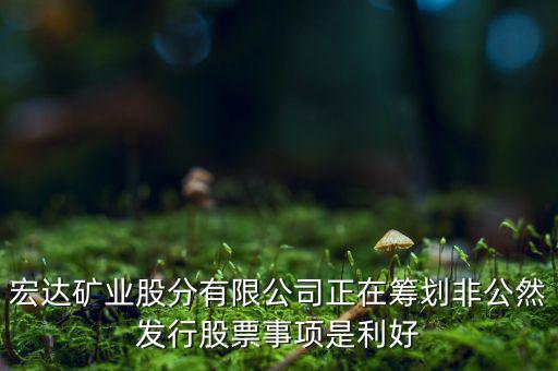 宏達(dá)礦業(yè)什么重大事項(xiàng)，請教600687停盤說是因?yàn)楹藢?shí)公司相關(guān)重大事項(xiàng)這個(gè)重大事項(xiàng)有知