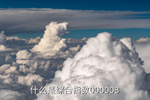 綜合指數(shù)是什么，什么是綜合指數(shù)000008