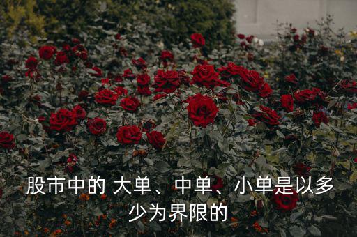  股市中的 大單、中單、小單是以多少為界限的
