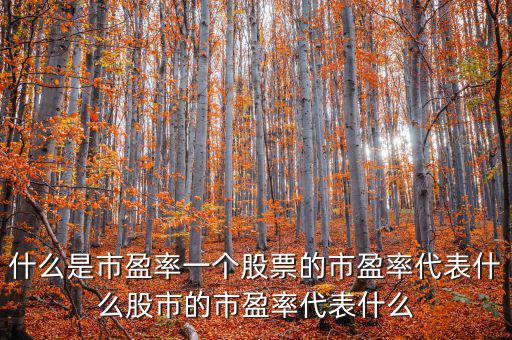 平均市盈率說明什么，什么是市盈率一個股票的市盈率代表什么股市的市盈率代表什么