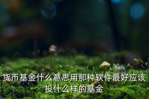 貨幣基金t什么意思，貨幣基金贖回時(shí)間T3是什么意思