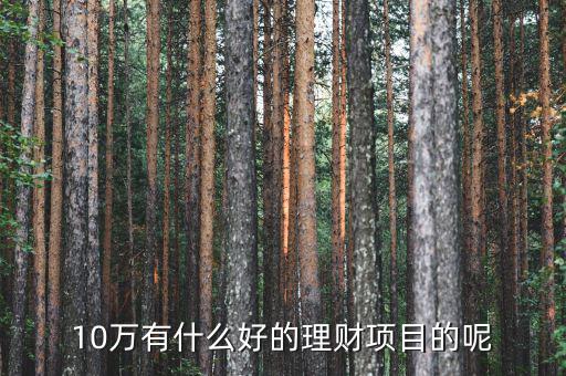 10萬做什么理財好，10萬有什么好的理財項目的呢