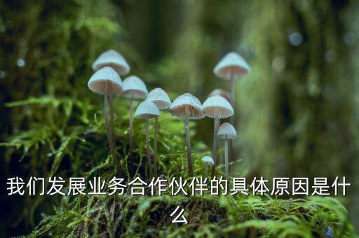 為什么要發(fā)展同業(yè)業(yè)務，匯付天下之前說要大力發(fā)展同業(yè)業(yè)務同業(yè)業(yè)務指的是甚么