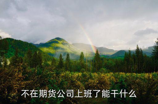 去期貨公司能做什么，本人去某期貨公司總部適合做什么