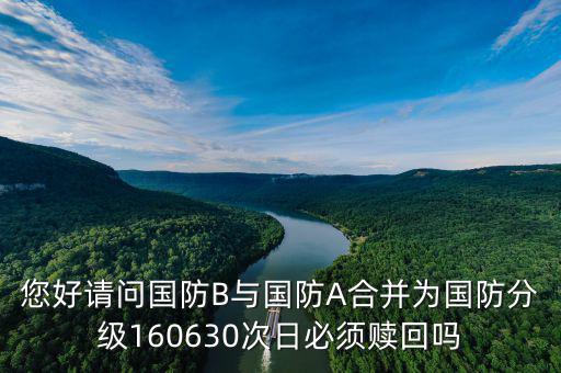 您好請問國防B與國防A合并為國防分級(jí)160630次日必須贖回嗎