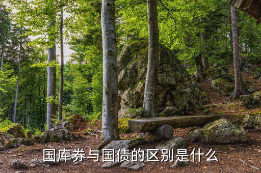 國(guó)庫(kù)券與國(guó)債的區(qū)別是什么，國(guó)庫(kù)券與國(guó)債的區(qū)別是什么