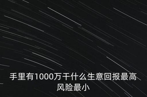 1000萬(wàn)投資什么生意，手里有1000萬(wàn)干什么生意回報(bào)最高風(fēng)險(xiǎn)最小