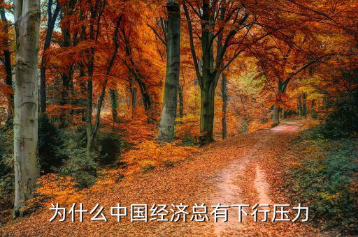 為什么說經(jīng)濟處于下行，經(jīng)濟 上行下行是什么意思