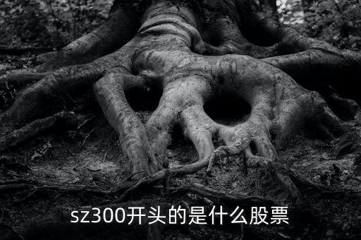 sz開(kāi)頭的是什么股票，sz300開(kāi)頭的是什么股票