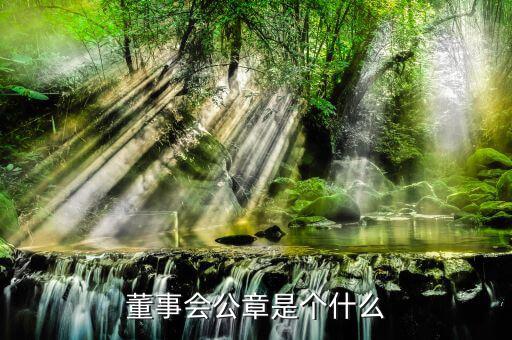 什么是董事會(huì)印章，完美國(guó)際魔方董事會(huì)印章有什么用