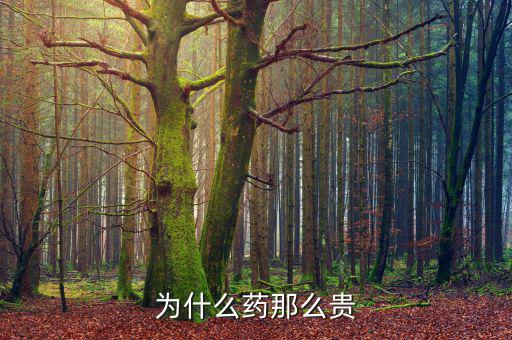 為什么藥價那么貴，醫(yī)藥費為什么那么貴