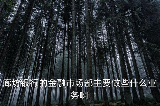 齊飛金融主營(yíng)什么業(yè)務(wù)，堅(jiān)固金融都有什么業(yè)務(wù)實(shí)力怎么樣