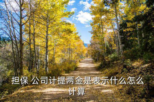 擔(dān)保公司獎金怎么算,傭金結(jié)算金額是按照當前合同付款比例計算