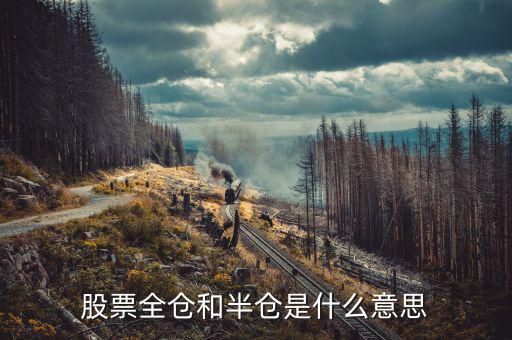 股票全倉是什么意思，股票全倉和半倉是什么意思