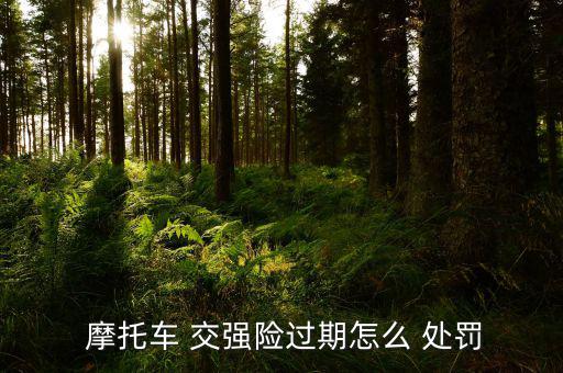 摩托車沒有交強險怎么處罰,交強險:-0/強制保險相關規(guī)則