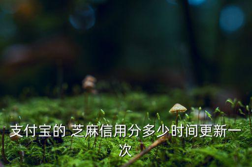 芝麻信用分什么時(shí)候更新，支付寶的 芝麻信用分多少時(shí)間更新一次