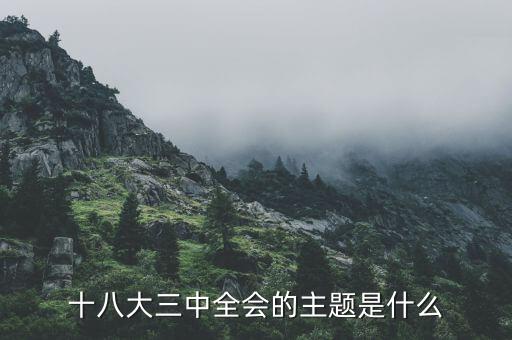 中全會講什么，七屆二中全會的主要內(nèi)容是什么啊