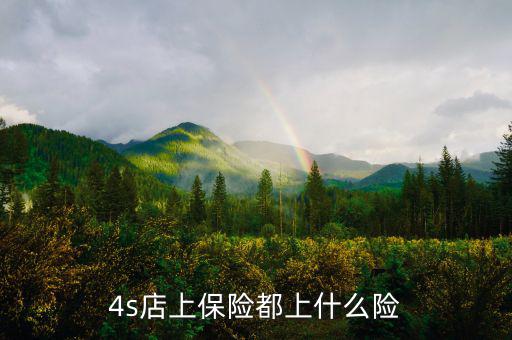 4s店買車都保什么險，誰能告訴我在4s店買的四大險都包括哪些