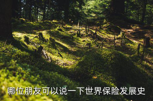 哪位朋友可以說(shuō)一下世界保險(xiǎn)發(fā)展史