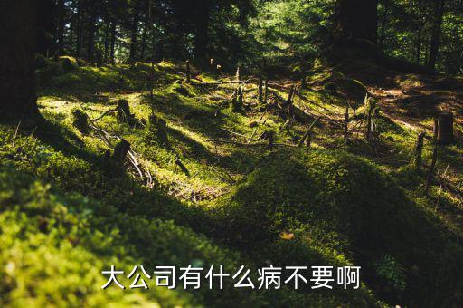 為什么會患大企業(yè)病，諾基亞公司是犯了大企業(yè)病么