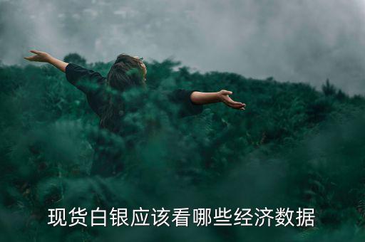 白銀價(jià)格和什么數(shù)據(jù)有關(guān)，現(xiàn)貨白銀應(yīng)該看哪些經(jīng)濟(jì)數(shù)據(jù)