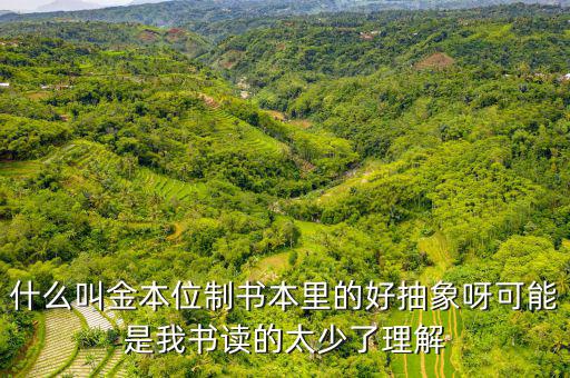 金匯兌本位制有什么用，金本位貨幣制度 的 意思