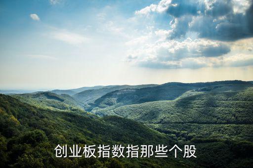創(chuàng)業(yè)板指數指那些個股